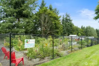Community garden