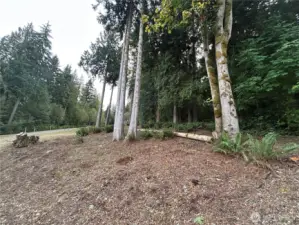 Surroundings