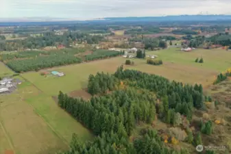 only a few minutes to I-5 and downtown.