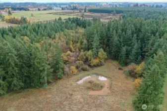 small pond on the back side of the property