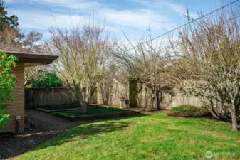 Raised garden beds and fruit trees.