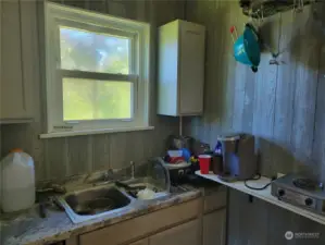 kitchen does not have any built in appliances.