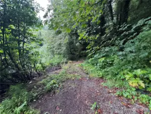 Dirt Path at the end of Henry.