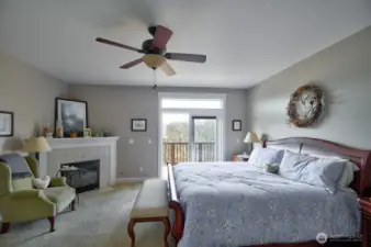 Luxurious primary suite with gas fireplace, walk in closet and deck access