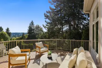 And then there's the deck - west facing entertaining space. This deck wraps around the back of the house and can be accessed via the Living Room. It's gated and has easy access to the backyard area.