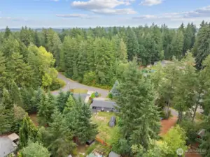 Aerial of neighborhood