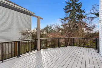 Entertaining Deck