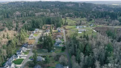 Looking East in Whispering Firs.