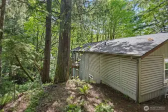Back of the house with flat back yard