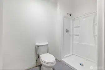 Lower level bathroom