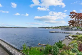View from your new home!