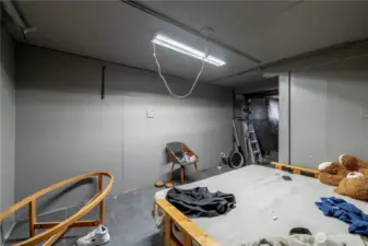bonus room in lower level
