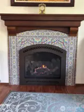 Gas Fireplace Furnace Rated