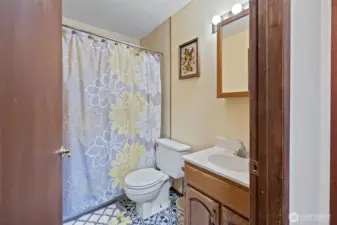 lower level bath