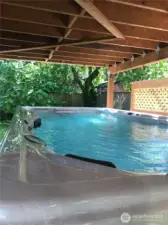 16X18 Swim Spa