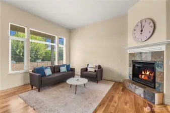 Propane fireplaxew in living room