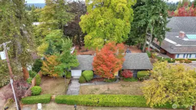 Large, level lot offers endless possibilities.