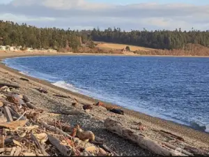 Admiral's Cove Beach