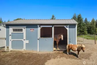 Loafing shed