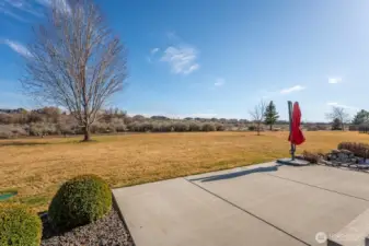 Back patio