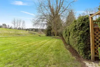 This area is beyond the hedges and acts as a second backyard!