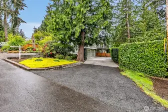Driveway