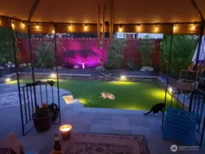 Backyard Lighting