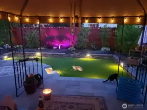 Backyard Lighting