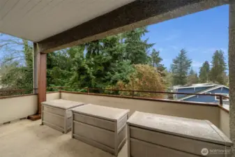 view looks due south towards UW