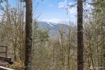 Beautiful views from the backyard.