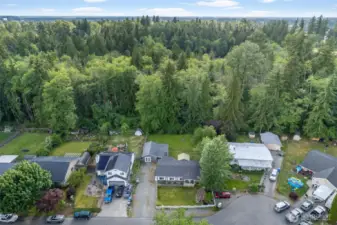Large lot, extends to wooded area