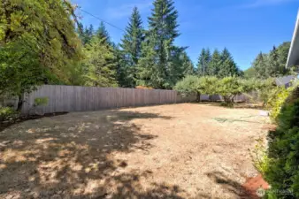 BIG fully-fenced back yard with fruit trees and a wonderful garden space.