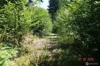 Driveway to camp/building site