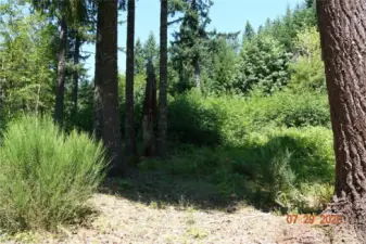 Camp/building site
