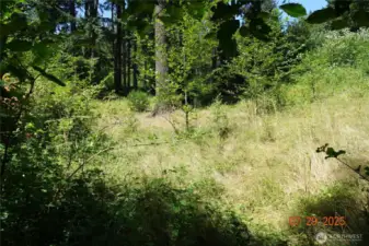 Camp/building site