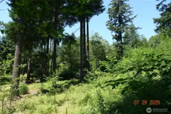 Camp/building site