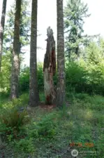 Camp/building site
