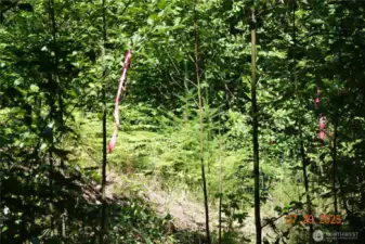 Fallow flags to the Camp/Building site