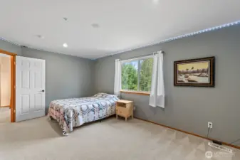 Upper level bedroom