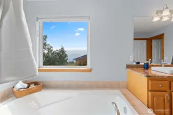 Primary Bathroom has a view of backyard and community park