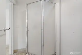 Walk-in shower lower level