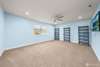 Love this BIG Bonus room