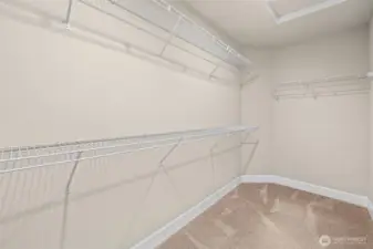 Walk-in closet off Primary bathrooom~