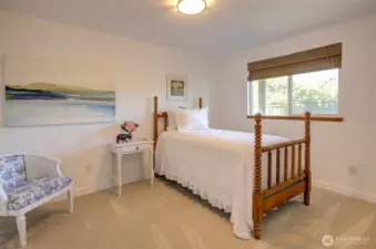 Lower second bedroom