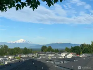 Views from the backyard