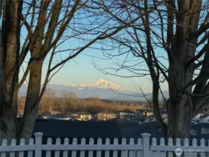 Views from the backyard