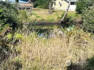 Another view of the canal on the west of this property.