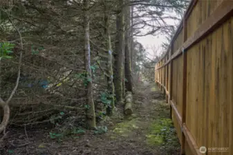 Beach access trail