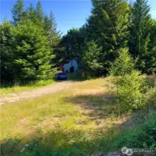 Driveway to cabin