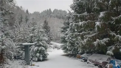 WInter view